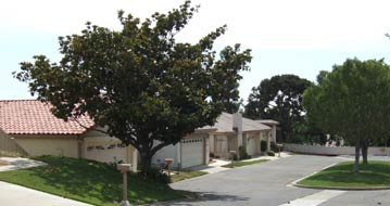 Attached homes with 2 car garages